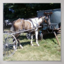Search for pinto posters Equine