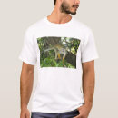 Search for squirrel monkey Forest