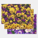Search for pansy wrapping paper Pansies