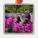 Search for topics christmas tree decorations Architecture
