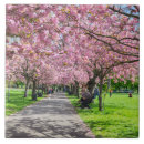 Search for cherry blossom tiles Sakura