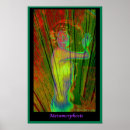 Search for metamorphosis posters Change