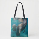 Search for manatee bags Sea