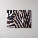 Search for zebra design art Zebras