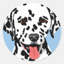 Search for dalmatian stickers Animals