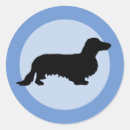 Search for long haired dachshund stickers Wiener