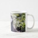 Search for seabird mugs Beak