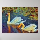Search for the water lily pond posters Swan