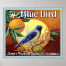 Search for vintage fruit crate labels posters Antique