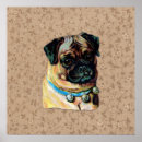 Search for pug picture posters Pugs