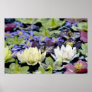 Search for hellebore posters Botanical