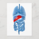 Search for larynx Detail