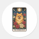 Search for pomeranian lover stickers Pug