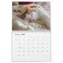 Search for cute kitten calendars Kitty