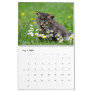 Search for feline calendars Kitty