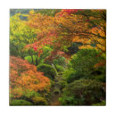 Search for japanese garden tiles Autumn
