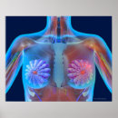 Search for computer generated image art Healthcare and medicine
