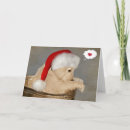 Search for thinking of you christmas cards Dog