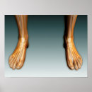 Search for nervous posters Neurology