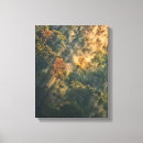 Search for autumn mist art Usa