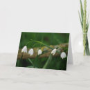 Search for snowdrop cards Nature