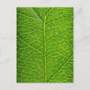 Search for funny earth postcards Environment