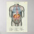 Search for relation posters Chart