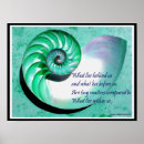 Search for nautilus shells posters Ocean