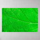 Search for ecology posters Green