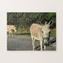 Search for pet puzzles Animals