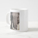 Search for abu mugs Africa