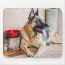 Search for panting electronics Puppy