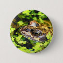 Search for frog badges Animals