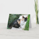 Search for funny animal thank you cards Cats