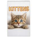 Search for kittens photography Adorable kitten