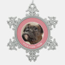 Search for brindle photography Domestic animals