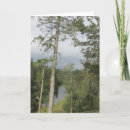 Search for summer scene cards Lake
