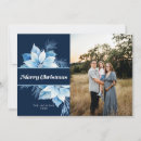 Search for poinsettia christmas cards Modern