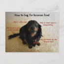 Search for begging postcards Puppy