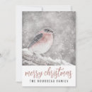 Search for bird christmas cards Nature
