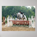 Search for winners posters Horse