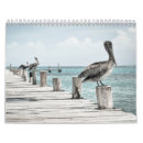 Search for pelican calendars Beach