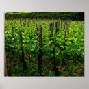 Search for vineyard art Photos
