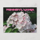 Search for pennsylvania postcards State
