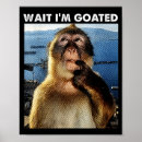 Search for thinking monkey posters Brainrot