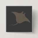 Search for stingray badges Fish