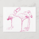 Search for vintage flamingo postcards Bird