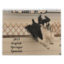 Search for spaniel calendars Dogs