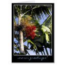 Search for tropical menus Nature