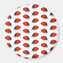 Search for ladybug kid magnets Cute